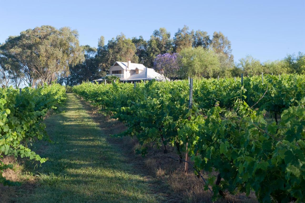 Spicers Vineyards Estate Hotel Pokolbin Bagian luar foto